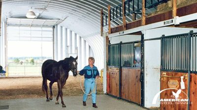 horse stable interior